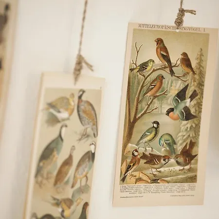 Apartament Haus Am Giebel