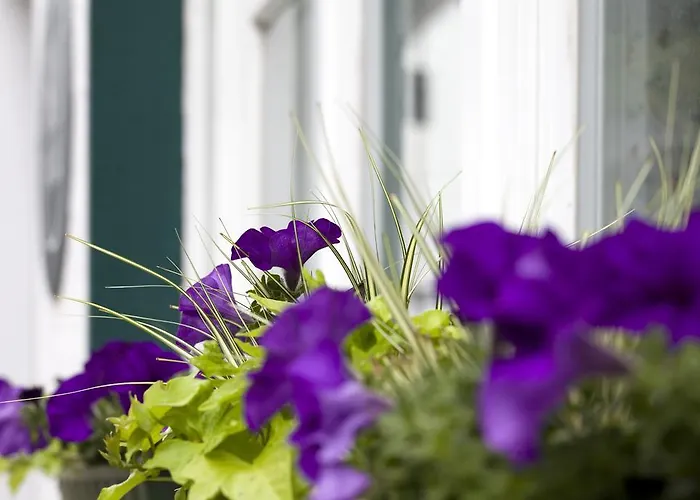 Lejlighed Haus Am Giebel Heimbach